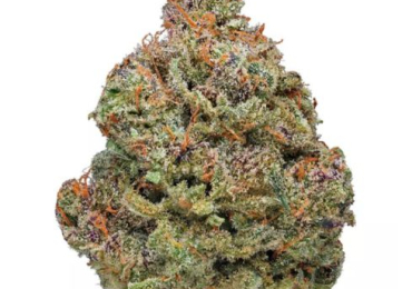 Buy Weed Online Europe