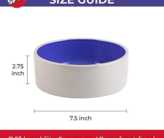 410P9ZxSvFL._AC_.jpg