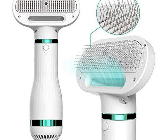 41ncUkCCNXL.jpg