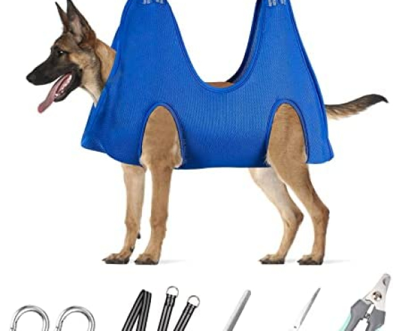 41xbwSiVa8L._AC_.jpg