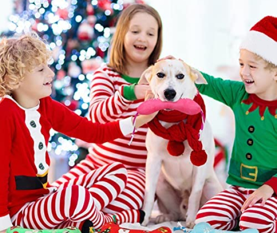 512dcN7Ur-L._AC_.jpg
