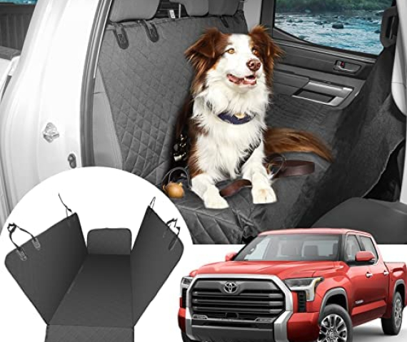 51CFoocroeL._AC_.jpg