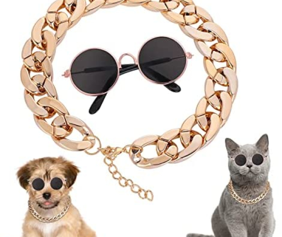 51Zqy156hHL._AC_.jpg
