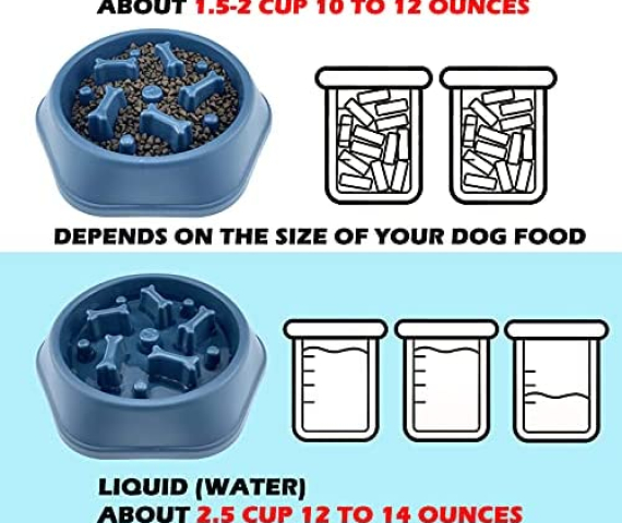 51n6M1F-7CS._AC_.jpg