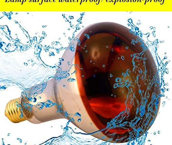 51vUapYbSpS._AC_.jpg