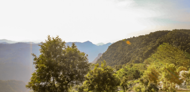 Coonoor Estates