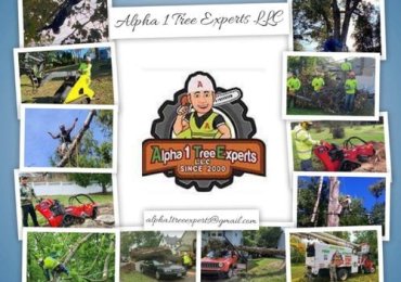 Alpha 1 Tree Experts LLC