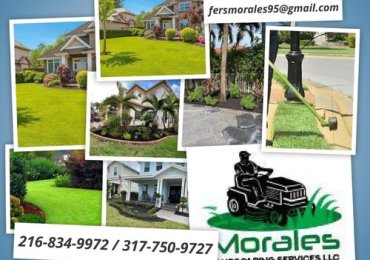 Morales Landscaping Services LLC