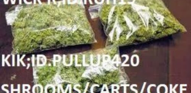 Buy Psychedelἱcs Online Australia