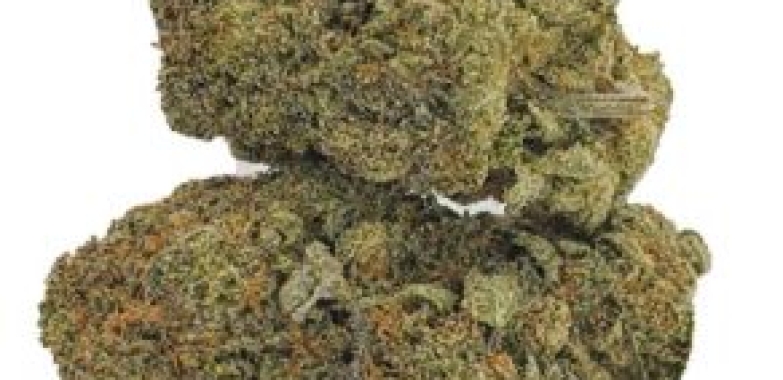 Buy Marijuana Online UK