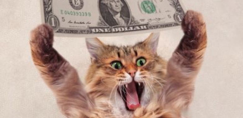 Earn $176+ Per Day With 30 Minutes Work