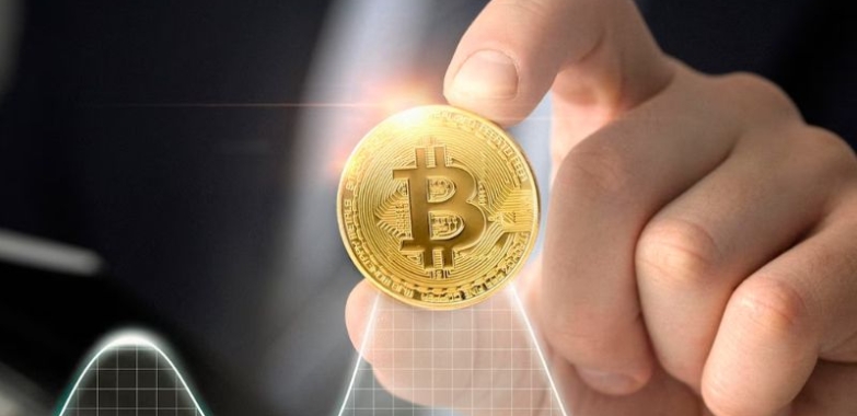 #1 Crypto Wallet App Development Company – BlockTech Brew