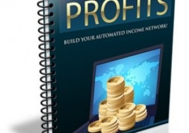 Autoblogging Profits