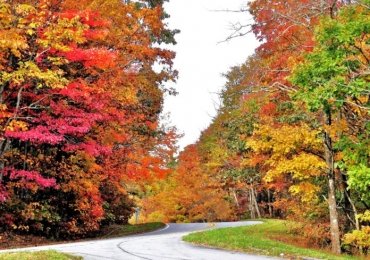 Georgia State Parks’ ‘Leaf Watch’ supplies autumn journey ideas