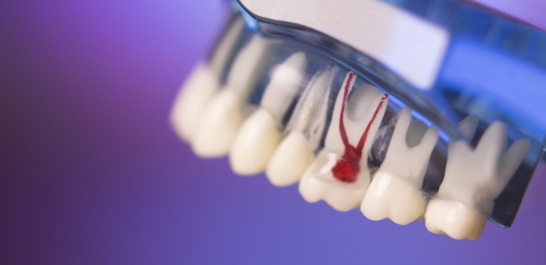 Dental Clinic Near Houston, TX 77082
