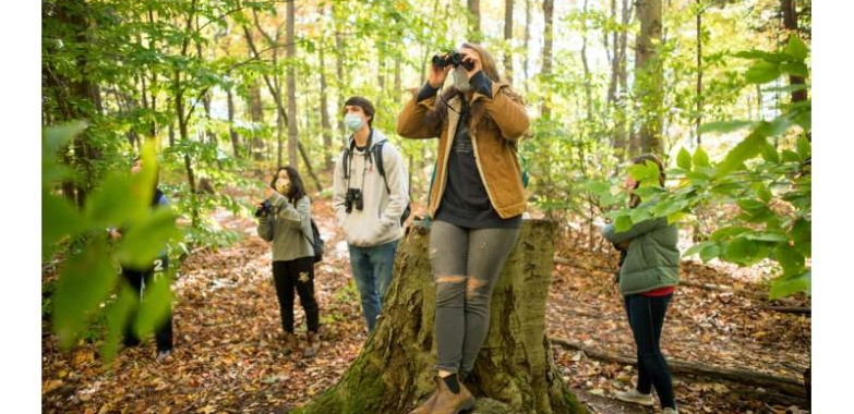 New nature lover? It is a COVID-19 facet impact