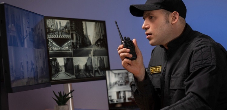 Virtual Security Guard