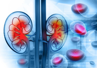Urology Hospital in Bangalore | Best Hospital for Kidney in Bangalore