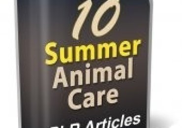 10 Summer Animal Care PLR Articles