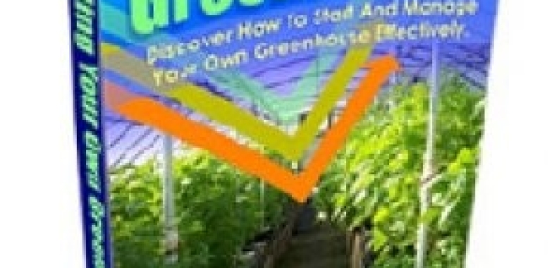 Building Your Own Greenhouse