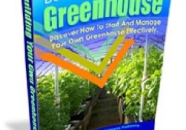 Building Your Own Greenhouse