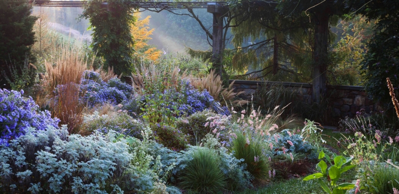 ‘September Is the New May’ When It Comes to Planting Flowers