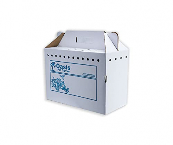 31Qi0PW82cL.jpg
