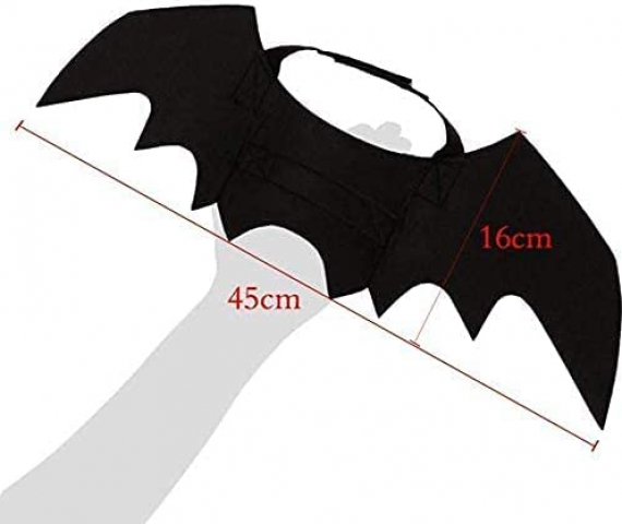 31RD46W5JES._AC_.jpg