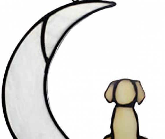 31THZFBHzlL._AC_.jpg