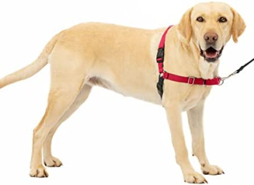 PetSafe Easy Walk Dog Harness Reviews, Red/Black, Large, EWH-HC-L-RED