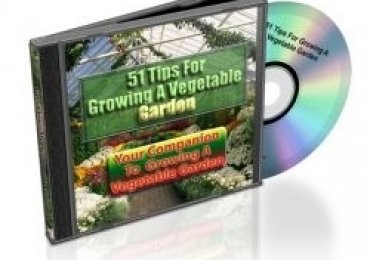 51 Tips For Growing A Vegetable Garden