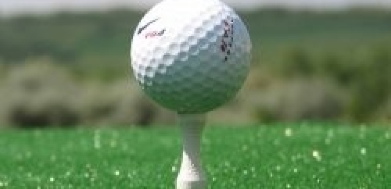 25 Golf eBooks