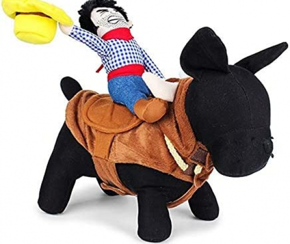 41-DXv0tNL._AC_.jpg