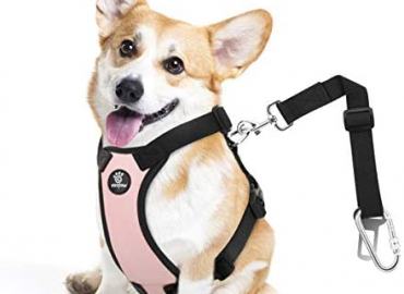 VavoPaw Dog Vehicle Safety Vest Harness, Adjustable Soft Padded Mesh Car Seat Belt Leash Harness with Travel Strap and Carabiner for Most Cars
