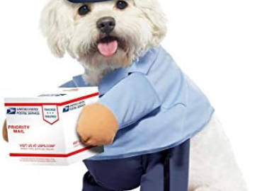 Dog Mail Carrier Costume USPS