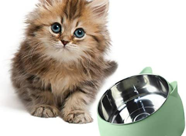 YHNHT Heated Cat & Dog Bowl,Dog Thermal-Bowl Heated Pet Bowl for Dogs, Cats, Pet Thermal Bowls Heating Dog Bowl Feeder Puppy Food Water Heat Bow