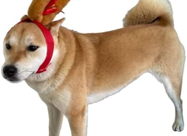 ComfyCamper Reindeer Antler Dog Halloween Costume Christmas Headband for Max Small Medium Large Dog Puppy Puppies Cat Kitten – Pet Deer Moose Head Band – Hat Outfit Pet Cosplay Party