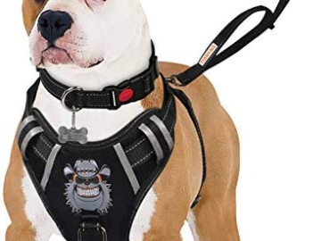 TIANYAO Dog Harness No-Pull Dog Vest Set Reflective Adjustable Oxford Material Pet Harness for Small Medium Large Dogs with Leash and Collar