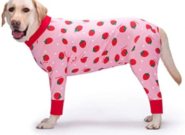 Yeapeeto Dog Recovery Suit After Surgery Soft Long Sleeve Dog Neuter Shirt Cone Alternatives, Prevent Licking Dog Surgical Onesies for Large Medium Dog Shedding Suit