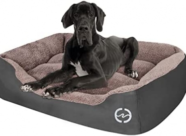 PUPPBUDD Pet Dog Bed for Medium Dogs(XXL-Large for Large Dogs),Dog Bed with Machine Washable Comfortable and Safety for Medium and Large Dogs Or Multiple