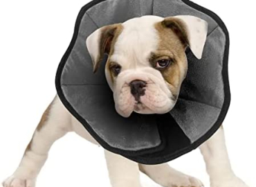 Dog Cone Collar for After Surgery, Soft Pet Recovery Collar for Dogs & Cats, Comfort Cone Collar Protective Collar for Large Medium Small Dogs, with Interior Made of Comfortable Plush Material