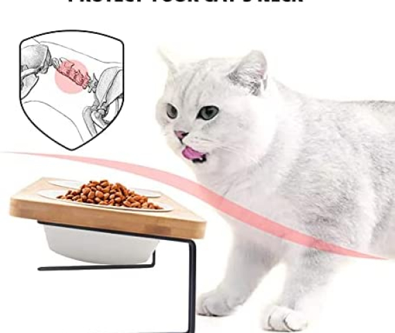 41RbJbY7aFL._AC_.jpg