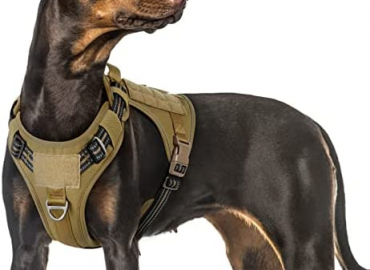 rabbitgoo Tactical Dog Harness No Pull, Military Dog Vest Harness with Handle & Molle, Easy Control Service Dog Harness for Small Medium Large Dogs Training Walking, Adjustable Reflective Pet Harness