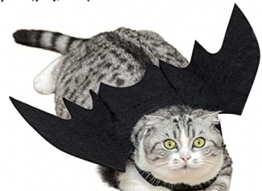 Cat Bat Wings, HKFUON Dog Pet Costume for Halloween Party Decoration, Adjustable Cute Black Bat Wings for Small Puppy Kitten Clothes Outfit Cosplay Halloween Pet Apparel Stuff Dress Up Accessories