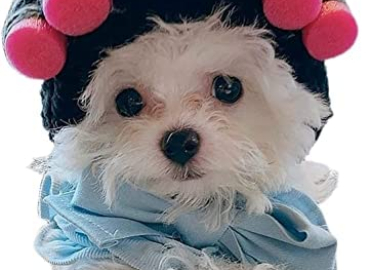 Funny Dog Cat Cosplay Wig, Curly Hair Adjustable Pet Wigs, Dog Costume for Halloween, Christmas, Parties, Festivals, Photo Shoots Dog Wigs for Small Medium and Large Dogs