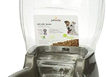 Petmate Pet Café Feeder