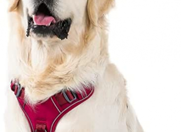 Pawaii Dog Harness, No-Pull Pet Harness with Pet ID Tag, No Choke Front Lead Dog Harness, Adjustable Soft Padded Pet Vest with Easy Control Handle