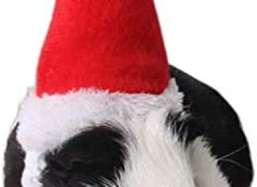 ANIAC Pet Christmas hat Santa Claus Cap Head Accessories for Rabbit Hamster Guinea Pig Rats Kitten Kitty and Small Animals
