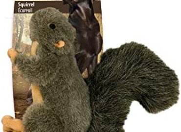 All for Paws Pet Squirrel Rabbit Plush Toys, Dog Puppy Squeaky Toy, Large