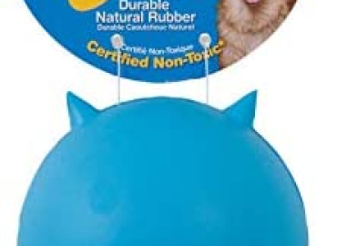 JW Pet Bad Cuz Dog Toy, assorted colors,Medium, Multi (43168)